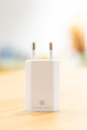 Netzteil für Taschenradio RM Viola